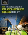 Image for CBAC Dyfarniad Galwedigaethol Adeiladu&#39;r Amgylchedd Adeiledig Lefel 1/2