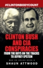 Image for Clinton Bush and CIA Conspiracies : From The Boys on the Tracks to Jeffrey Epstein