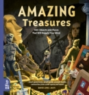 Image for Amazing Treasures