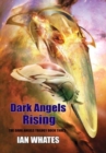 Image for Dark Angels Rising