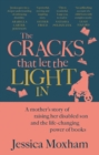 Image for The cracks that let the light in  : what I learned from my disabled son