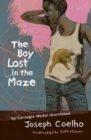 Image for The boy lost in the maze