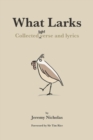 Image for What Larks : Collected Light Verse and Lyrics