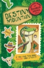 Image for Destiny Mountain  : the fourth diary of my amazing, astonishing, incredible adventures!