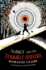 Image for Aubrey and the terrible spiders