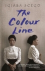 Image for The colour line