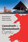 Image for Llywodraeth a Gwleidyddiaeth Cymru