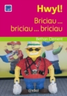Image for Hwyl!: Briciau, Briciau, Briciau