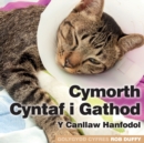 Image for Cymorth Cyntaf i Gathod