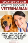 Image for How to Become a Veterinarian