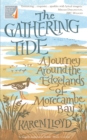 Image for The gathering tide