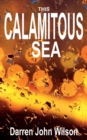 Image for This Calamitous Sea