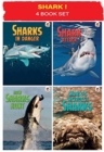 Image for SHARK 4 BOOK PACK