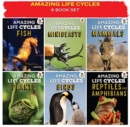 Image for AMAZING LIFE CYCLES 6 PACK