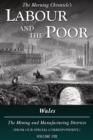 Image for Labour and the Poor Volume VIII