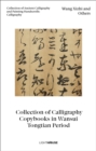 Image for Wang Xizhi and Others: Collection of Calligraphy Copybooks in Wansui Tongtian Period