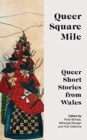 Image for Queer square mile  : queer short stories from Wales