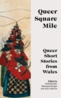 Image for Queer square mile, queer short stories from Wales