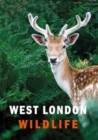 Image for West London Wildlife