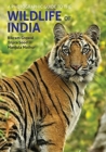 Image for A Photographic Guide to the Wildlife of India