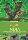 Image for A Naturalist&#39;s Guide to the Birds of India