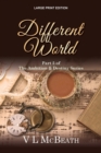 Image for Different World : Part 5 of The Ambition &amp; Destiny Series