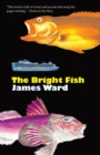 Image for The bright fish