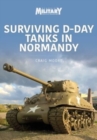 Image for Surviving D-Day tanks in Normandy