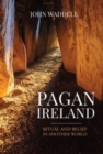 Image for Pagan Ireland  : ritual and belief in another world