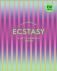 Image for The Puzzle of Ecstasy : A Little Gradient Jigsaw