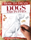 Image for Dogs and Puppies