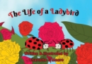 Image for Life of A Ladybird