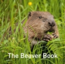 Image for The beaver book