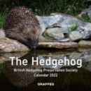 Image for The Hedgehog Calendar 2022