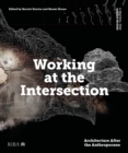 Image for Design Studio Vol. 4: Working at the Intersection
