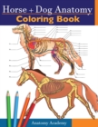 Image for Horse + Dog Anatomy Coloring Book