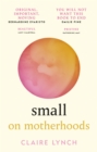 Image for Small  : on motherhoods