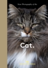 Image for New Photography of the Cat.