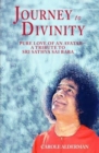 Image for Journey to divinity  : pure love of an avatar