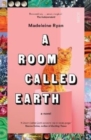 Image for A room called Earth