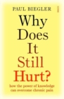 Image for Why Does It Still Hurt?