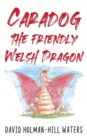 Image for Caradog the Friendly Welsh Dragon