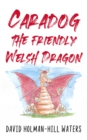 Image for Caradog the Friendly Welsh Dragon