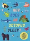 Image for How Does An Octopus Sleep?