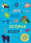 Image for How does an octopus sleep?  : discover the ways your favourite animals sleep and what makes them special