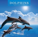 Image for DOLPHINS 2023 SQUARE WALL CALENDAR