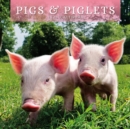 Image for PIGS PIGLETS 2023 SQUARE WALL CALENDAR