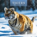 Image for TIGERS 2023 SQUARE WALL CALENDAR