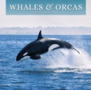 Image for WHALES 2023 SQUARE WALL CALENDAR