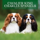 Image for CAVALIER KING CHARLES SPANIELS 2023 SQUA